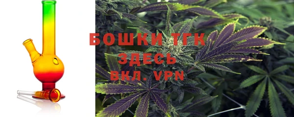 хмурый Аркадак