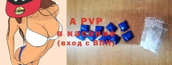 хмурый Аркадак