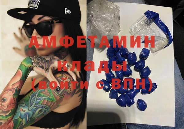 хмурый Аркадак