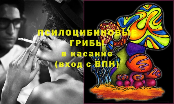 экстази Арсеньев