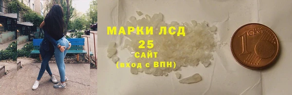 хмурый Аркадак