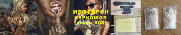 хмурый Аркадак