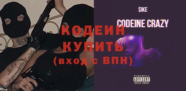 хмурый Аркадак