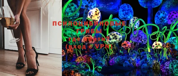 хмурый Аркадак