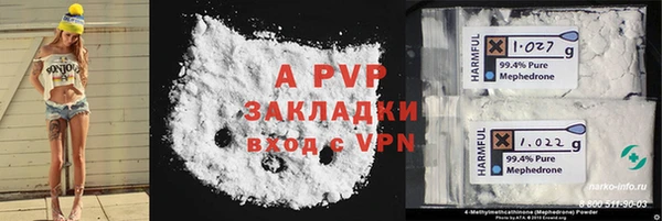 хмурый Аркадак