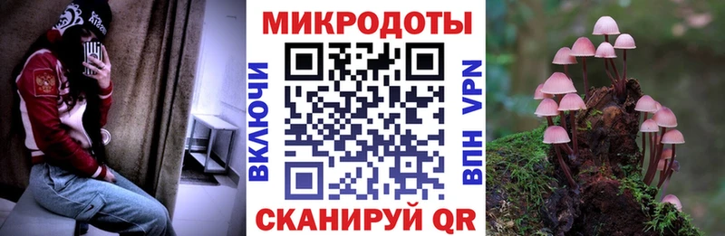 Галлюциногенные грибы прущие грибы  Осинники 